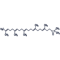 2,3-Oxidosqualene